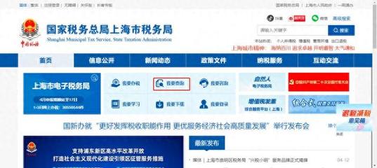 上海优化网站价格
