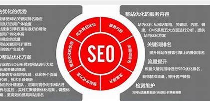 seo 关键字分析导读:seo关键字是什么|2024年07月新更