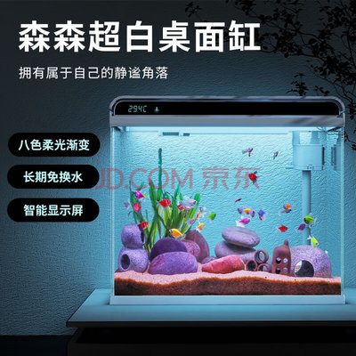 魚缸一晚上就渾水需要換水嗎（魚缸一晚上就渾水需要換水嗎視頻）