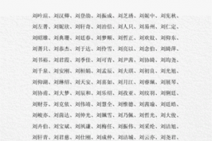 刘姓取名女孩
