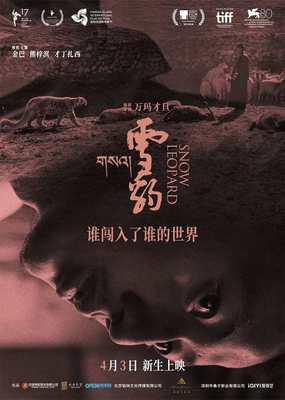 资讯配图