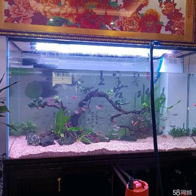 晉中市榆次區(qū)天玉水族魚缸店（晉中市榆次區(qū)天玉水族魚缸店電話）