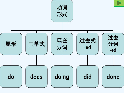 do的动词形式