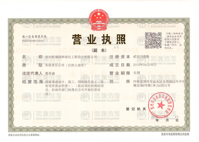 营业执照多大