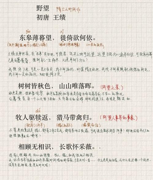 野望翻译一句一译