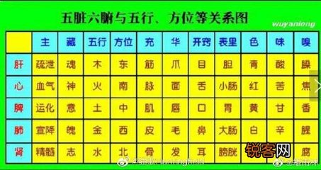 色五行属什么