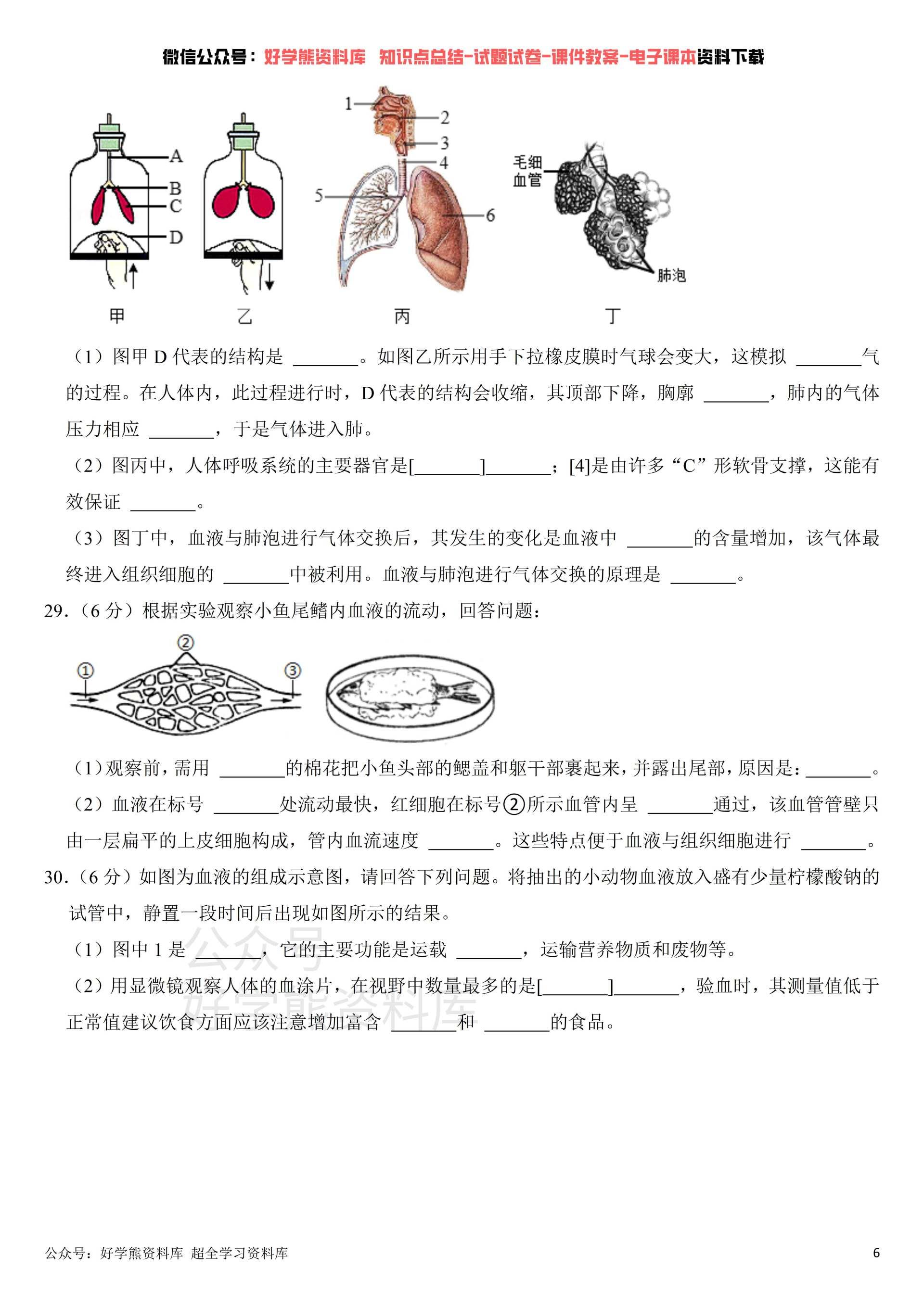 生物七年级下册卷子
  第2张 
生物七年级下册卷子
  第2张