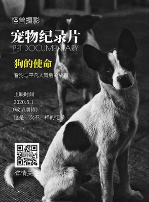 澳门金沙线上游戏