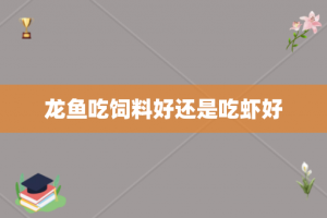 龙鱼的主食是什么：龙鱼的喂养方式 龙鱼百科 第4张