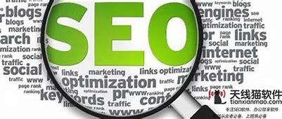 seo免费推广找行者SEO详解:seo短视频网页入口营销|2024年06月更新