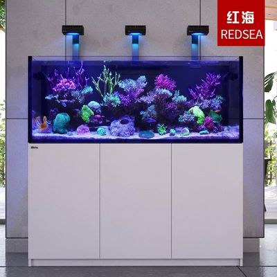 魚缸造景效果圖杭州可麗水族放心（魚缸造景大全）