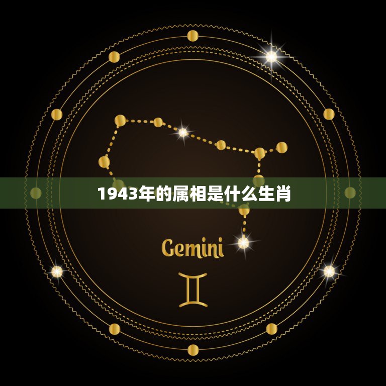 排第八位是什么生肖