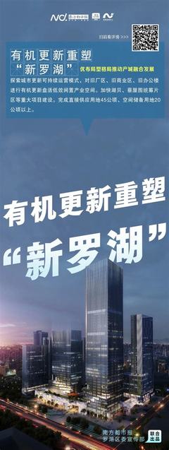 罗湖关键词排名包年推广(深圳关键词排名正规公司)-深圳SEO优化公司