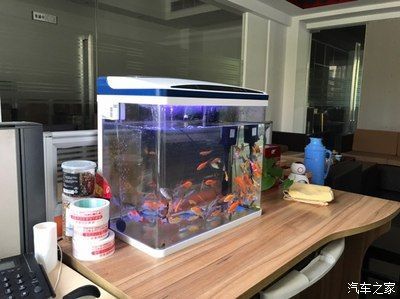 遼源市龍山區(qū)花鳥魚休閑廣場佳璐水族店（遼源花鳥魚市營業(yè)時間）