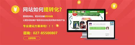 武汉seo网站推广公司详解:免费seo网站推广|2024年07月更新