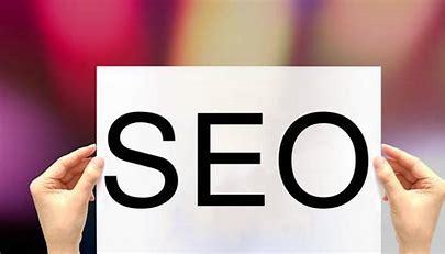 百度seo指南(seo短视频入口引流)