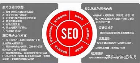 《用seo分析网站 案例》 某些网站seo分析实例