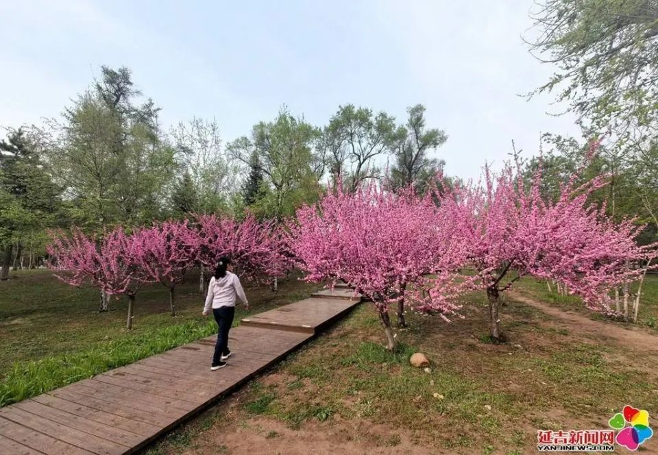 延吉5天亲子边境慢游记