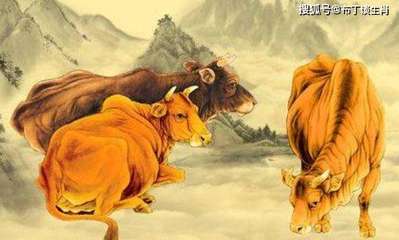 属牛与什么属相相合