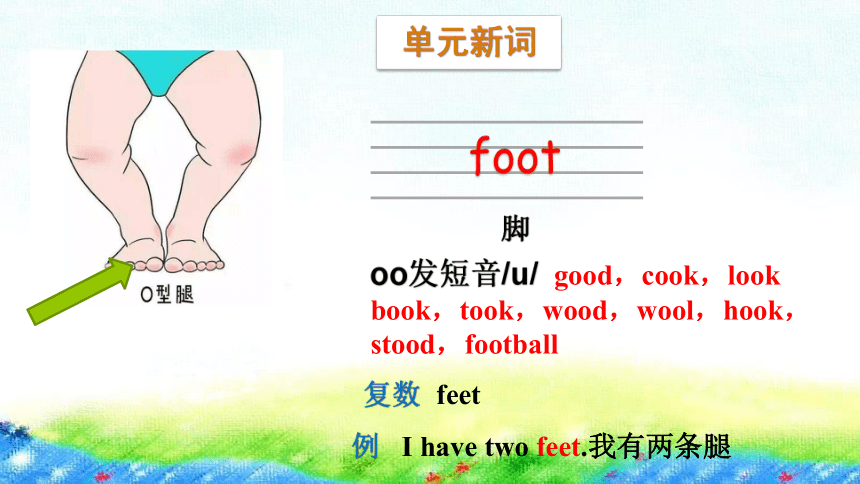 foot和feet发音区别