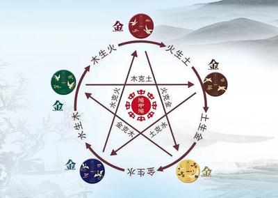 属牛的五行属性是什么