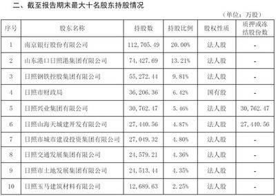 法人占股比例要求