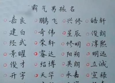儿子取名大全