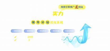 邯郸专业seo推广方案详解:seo网站推广与优化方案|2024年06月更新