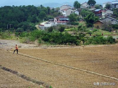 新农村建设补偿多少钱