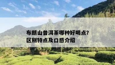布朗山普洱熟茶特点