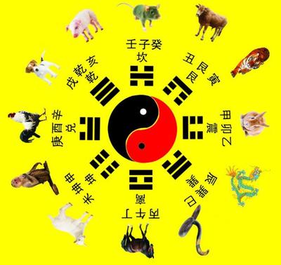 甲属什么生肖