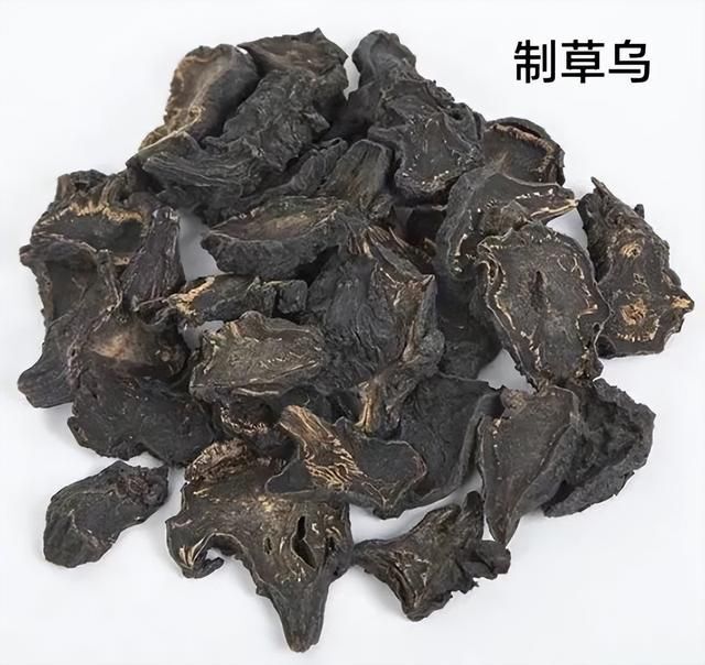 制草乌一天不能超过多少克