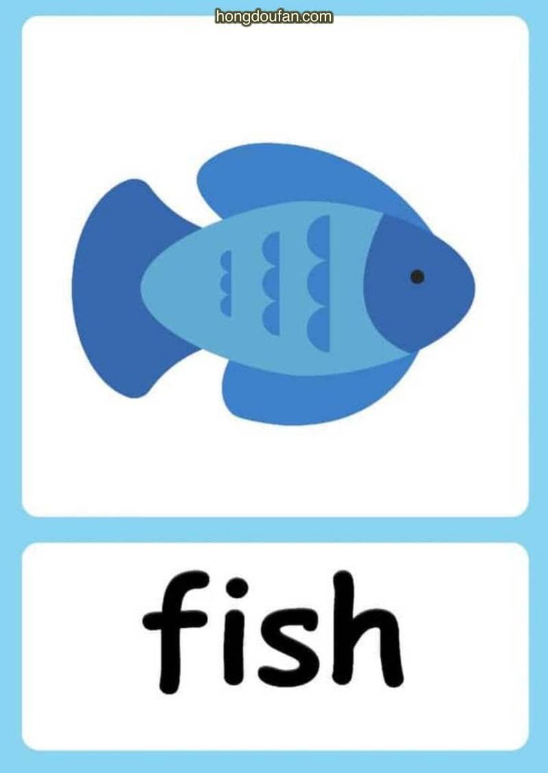 fish英语怎么说