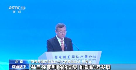 关于船舶所有权的国际公约
