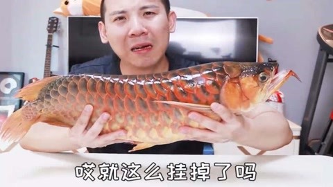 徐州哪里有賣魚缸和魚的