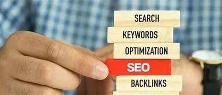 seo经典成功案例推广详解:seo成功案例分析|2024年06月更新