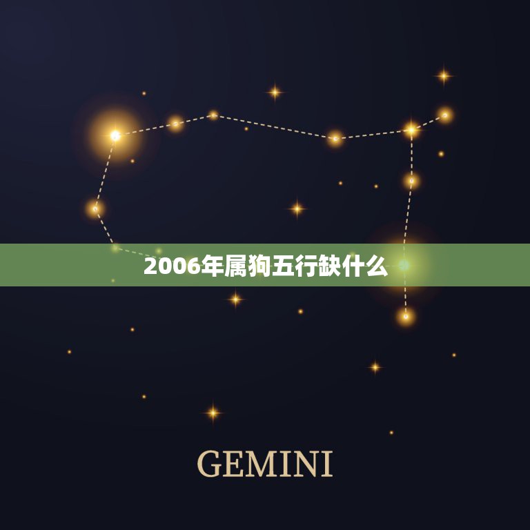 2006年五行属什么命