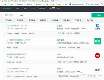 长春哪里学习seo(长春最专业的seo公司)