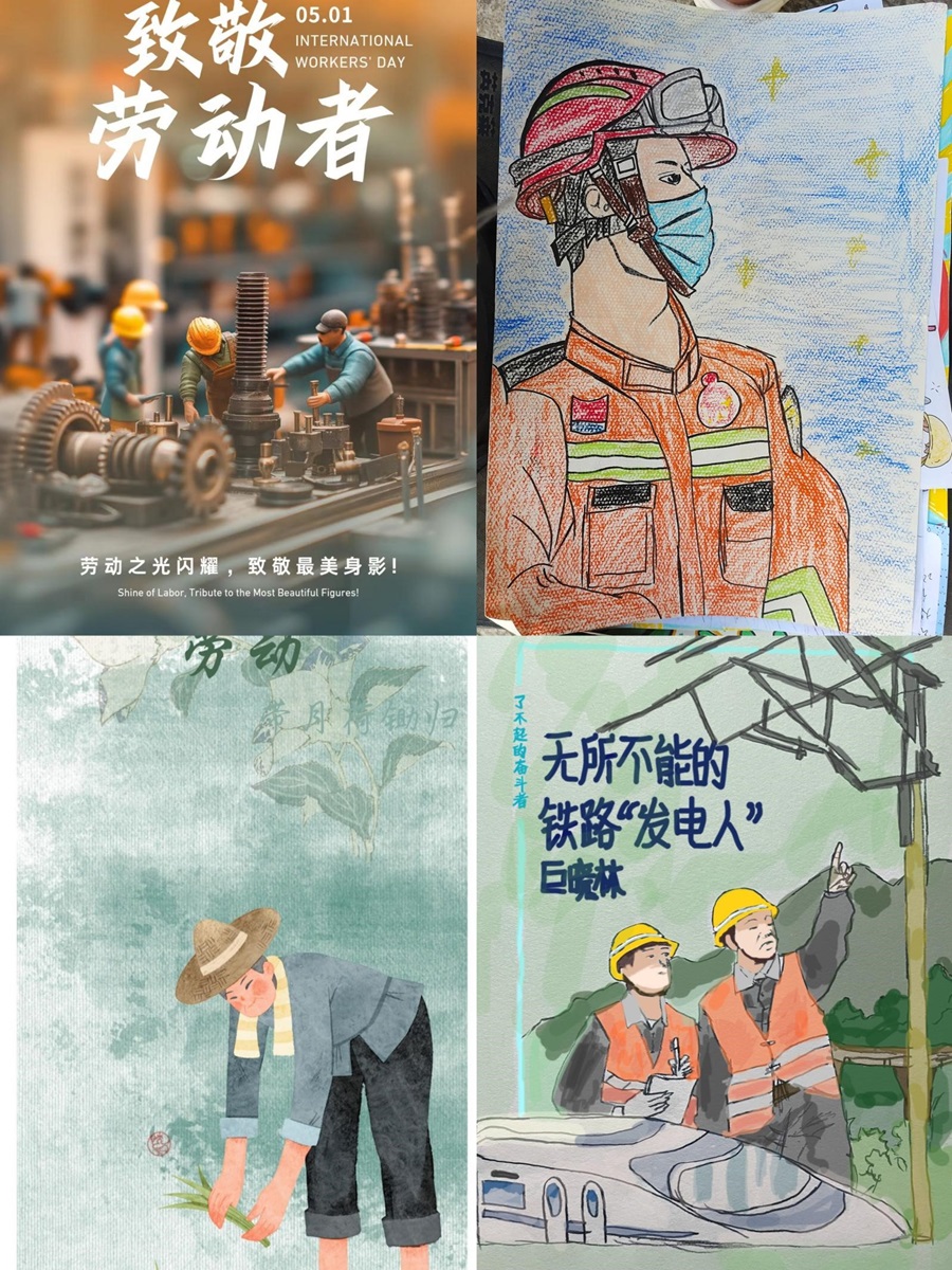 半岛综合娱乐app