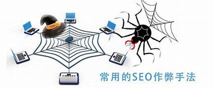 seo网络推广公司蜘蛛池(搜狗seo蜘蛛池推广平台)