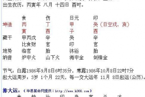 戊子日最坏组合的八字