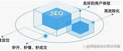 顶级seo模型大揭秘:亚洲尺码与日本尺码区别|2024年07月已更新