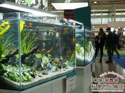 萊西市雨軒水族館（萊西市雨軒水族館電話）