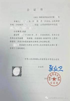 山东公证