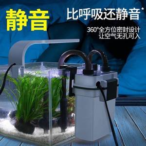 龍少區(qū)花卉市場韓晶水族商店（龍大花卉市場有水族嗎）