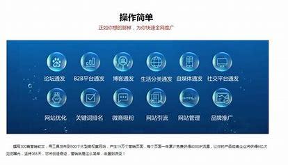 保山seo网站优化(保山网站制作公司)