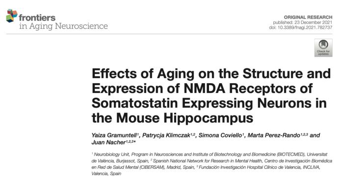 Front.aging.neurosci- 衰老对小鼠海马神经元NMDA的影响