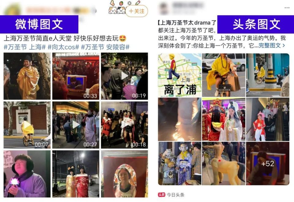 365正规投注平台相关图片
