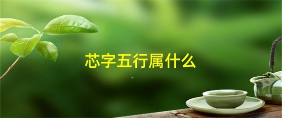 芯字五行属什么
